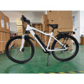 High quality electric bicycle electric bike ebike e-bicycle e-bike electric bike